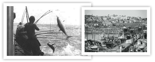 historic photos of tuna fishing and Little Italy neighborhood