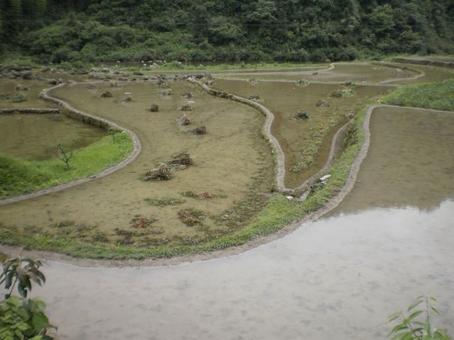 Terrace Farming in Lengjiaba